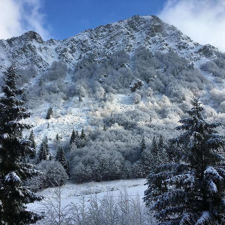 Val Di Luce - Delizioso Appartamento 6 Posti Letto - Accesso Diretto Alle Piste Da Sci ابيتون المظهر الخارجي الصورة