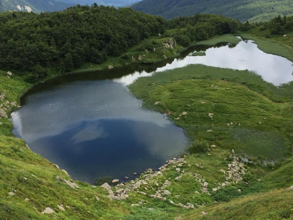 Val Di Luce - Delizioso Appartamento 6 Posti Letto - Accesso Diretto Alle Piste Da Sci ابيتون المظهر الخارجي الصورة