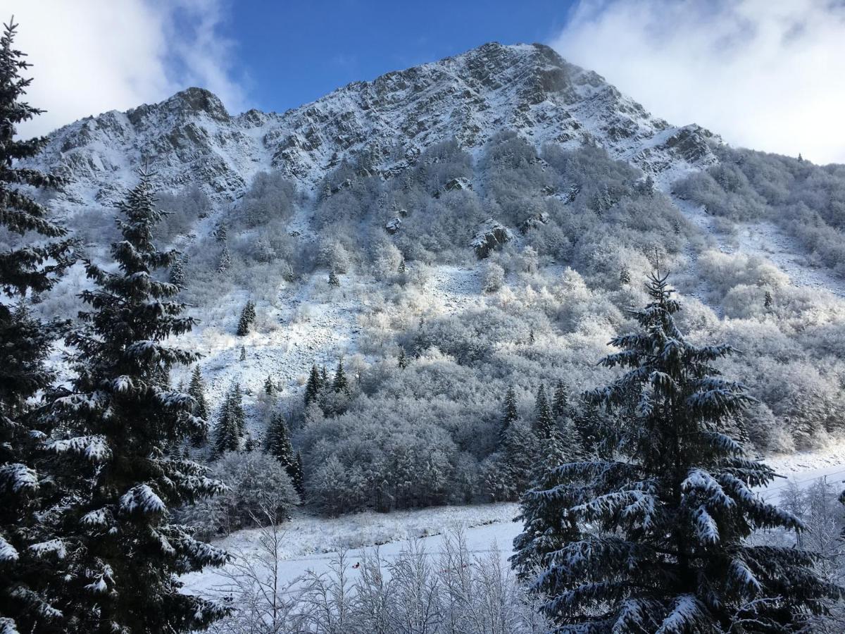 Val Di Luce - Delizioso Appartamento 6 Posti Letto - Accesso Diretto Alle Piste Da Sci ابيتون المظهر الخارجي الصورة