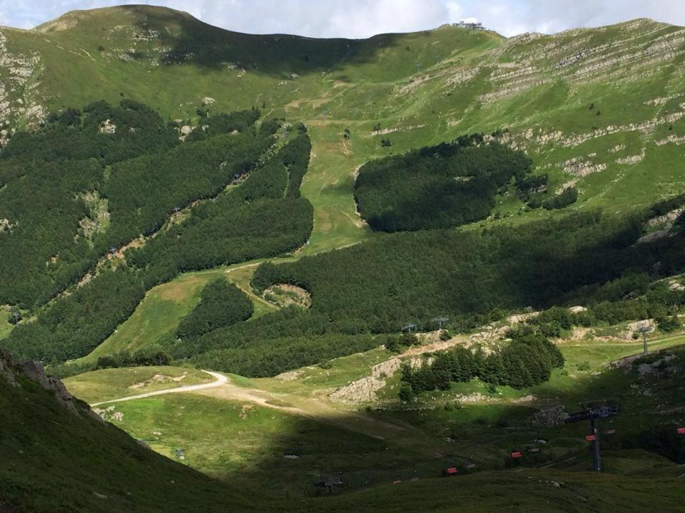 Val Di Luce - Delizioso Appartamento 6 Posti Letto - Accesso Diretto Alle Piste Da Sci ابيتون المظهر الخارجي الصورة